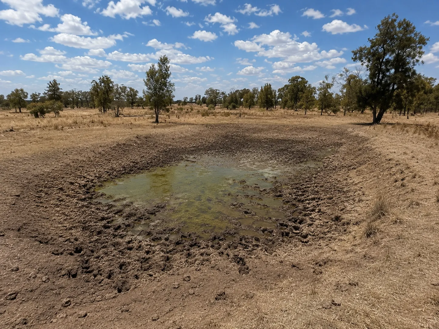A silted dam with low water