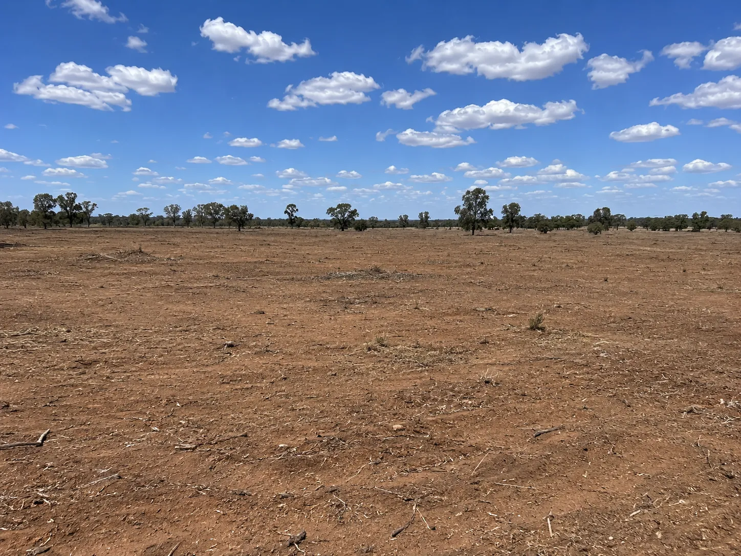 Cleared bare ground