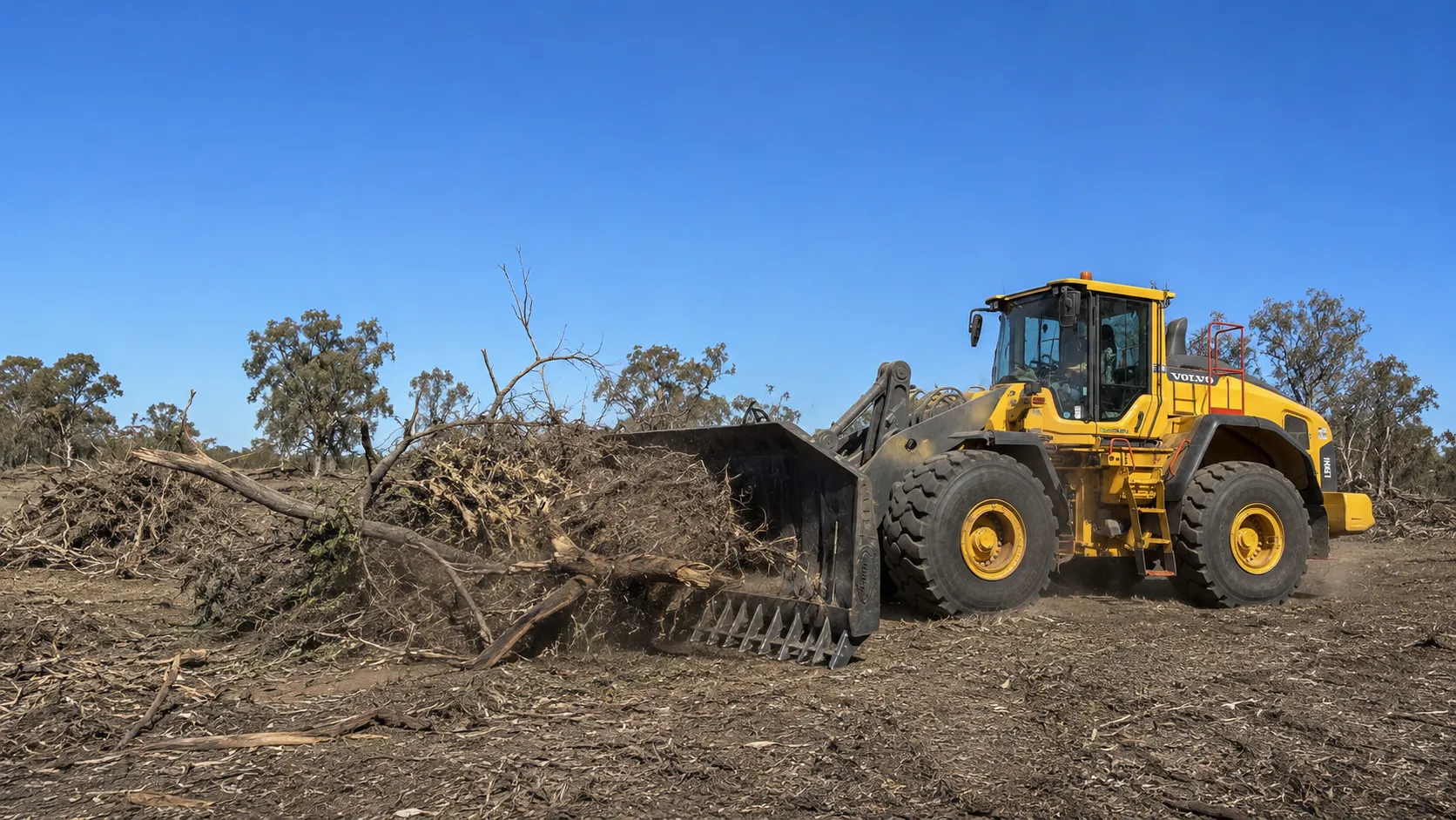 A loader with a stick rake clearing the paddock